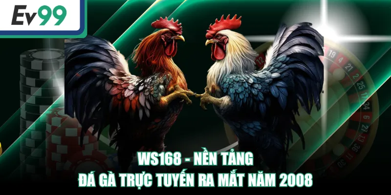 WS168 | Sảnh Đá Gà Đỉnh Cao, Trải Nghiệm Độc Quyền 2 WS168 - Nền tảng đá gà trực tuyến ra mắt năm 2008